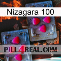 Nizagara 100 14